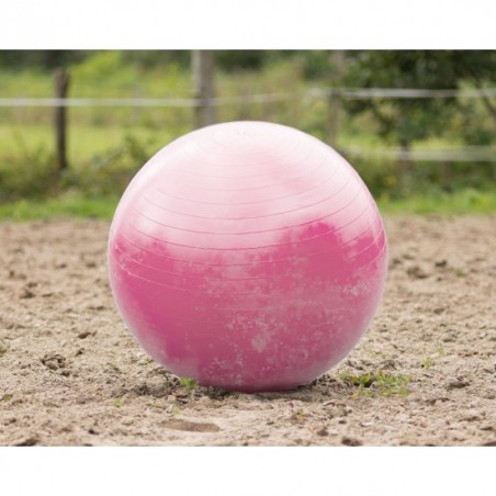 Ballon de jeu pour chevaux