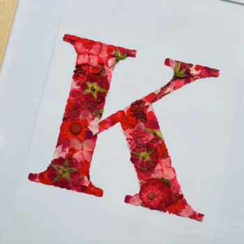 Herbier rouge "K",
Chromatique & Botanique