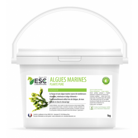 Algues Marines – Fatigue et baisse de forme cheval – Plante pure