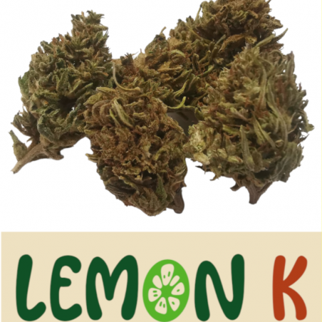 Fleurs de Lemon-K   FR-BIO-01