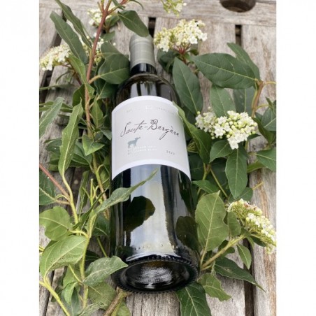 Saute-Bergère Blanc - 2024
