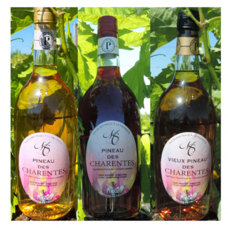 ensemble 3 pineaux des...