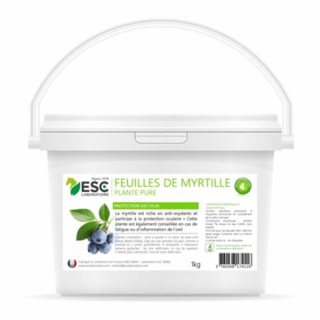 Feuilles de Myrtille – Protection des yeux cheval – Plante pure