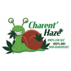 Charent'Haze